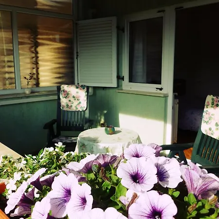 Ester Apartment Rovinj